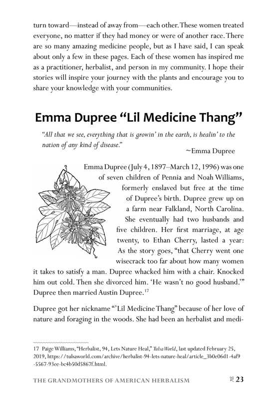 African American Herbalism by Lucretia VanDyke