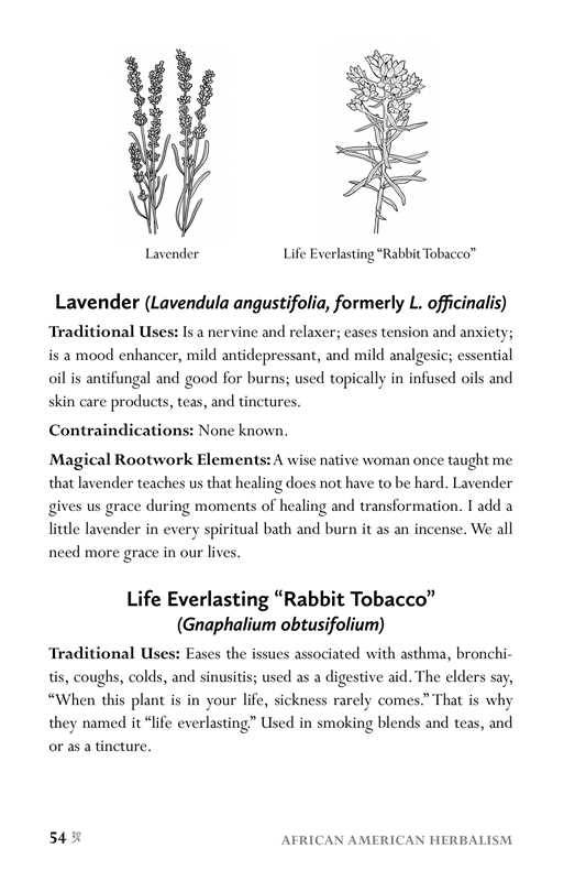 African American Herbalism by Lucretia VanDyke